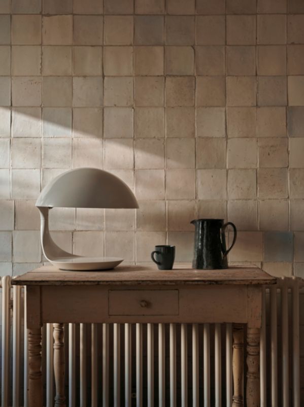 Dutch Rose Amsterdam